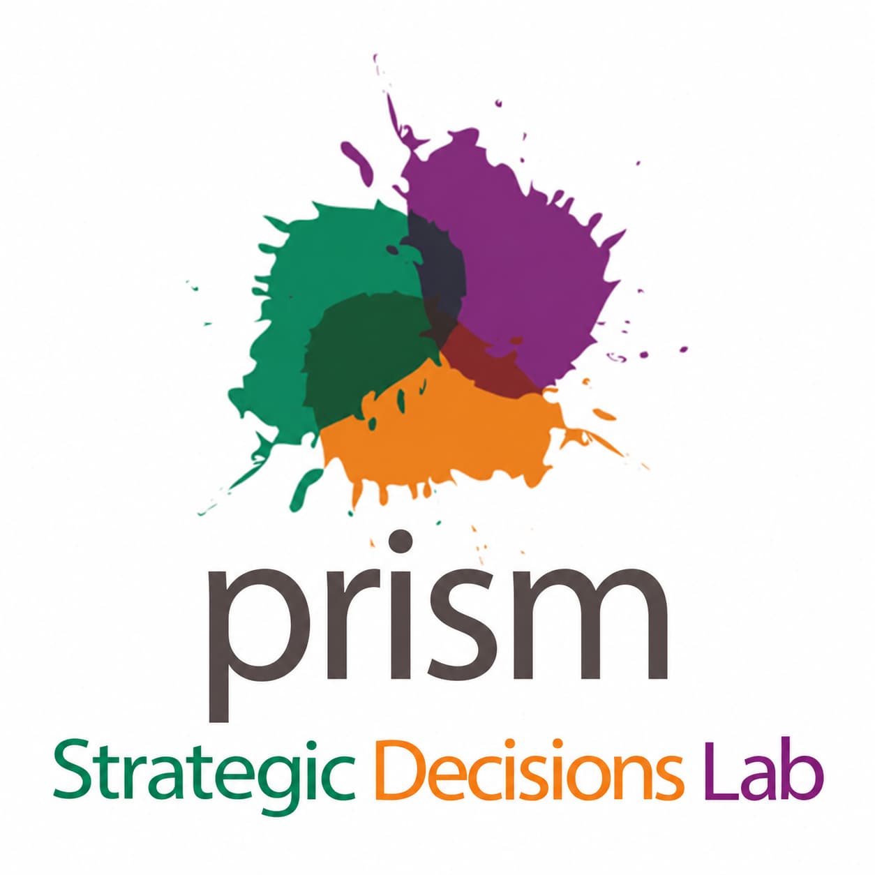 Prism Strategic Decisions Lab